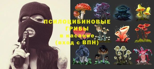 прущая мука Карталы