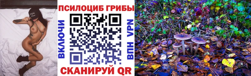 Купить  Богородск  Псилоцибиновые грибы ЛСД 